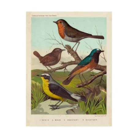 Cassell 'Robin, Wren And Redstart' Canvas Art,18x24